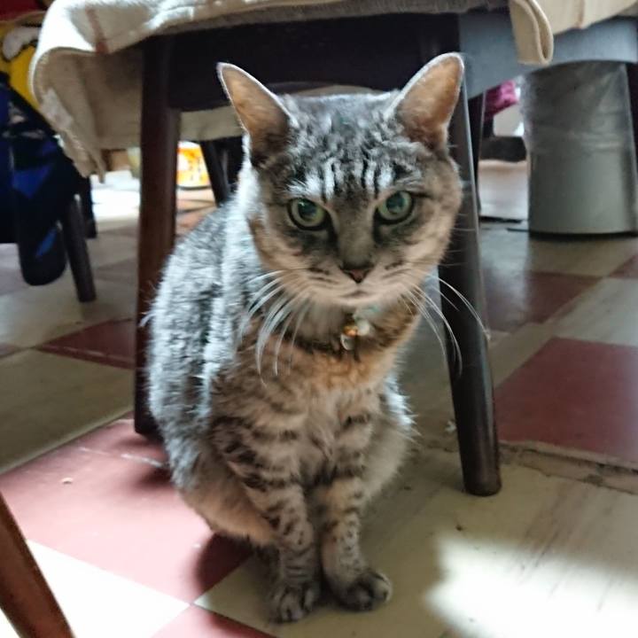 A8bd4628 e7df 492b a1a7 4231b539089d 1573687054844