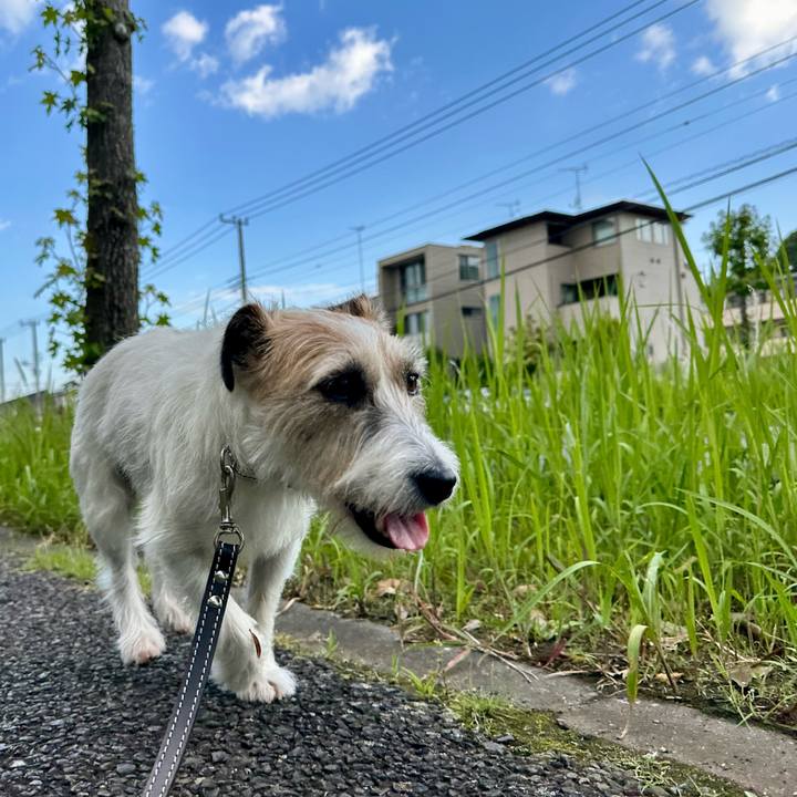 A8bd510a 0b37 4174 bc60 8f721dd43f37 1749117036551