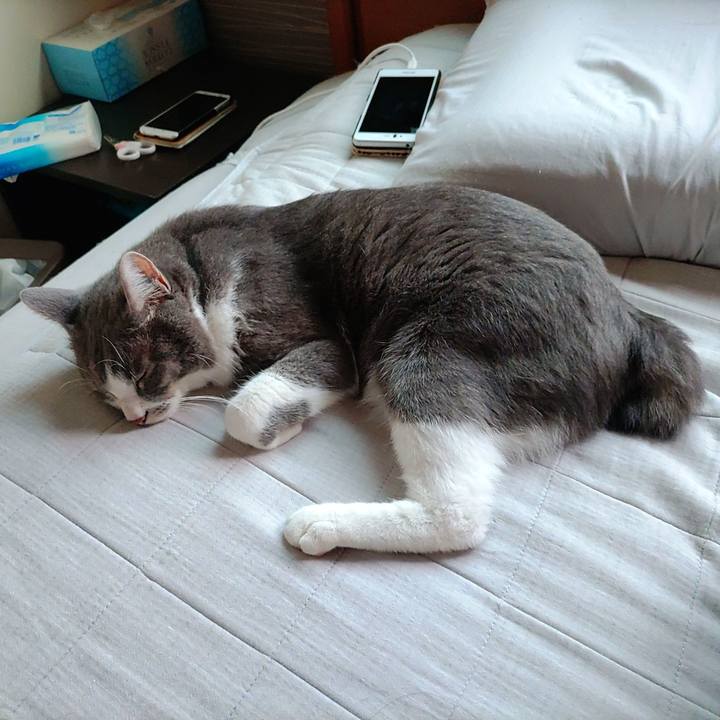 A8bd797f f4b6 4c2a bd77 e15a90f2a04a 1662941121451