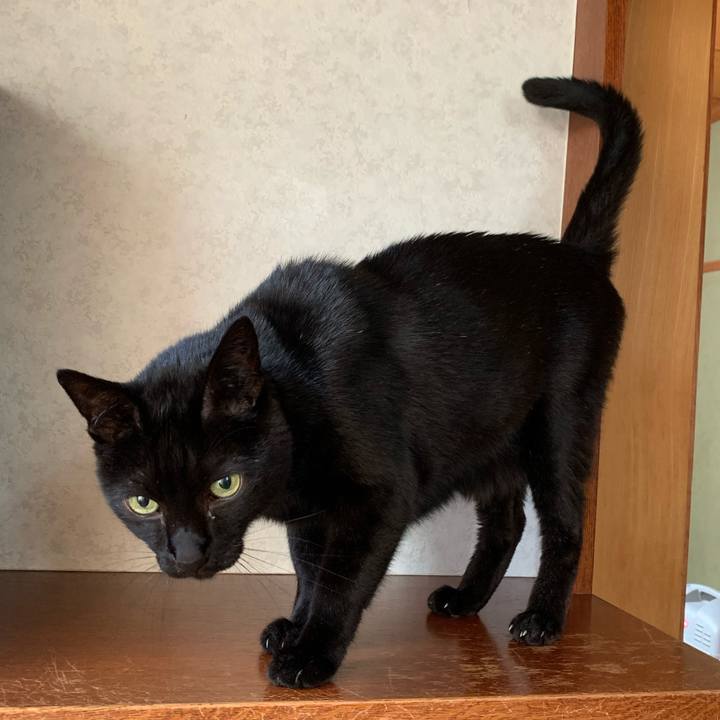 A8bd9e7d 7efe 4ee3 9d5a 3294b3472b78 1600737662867