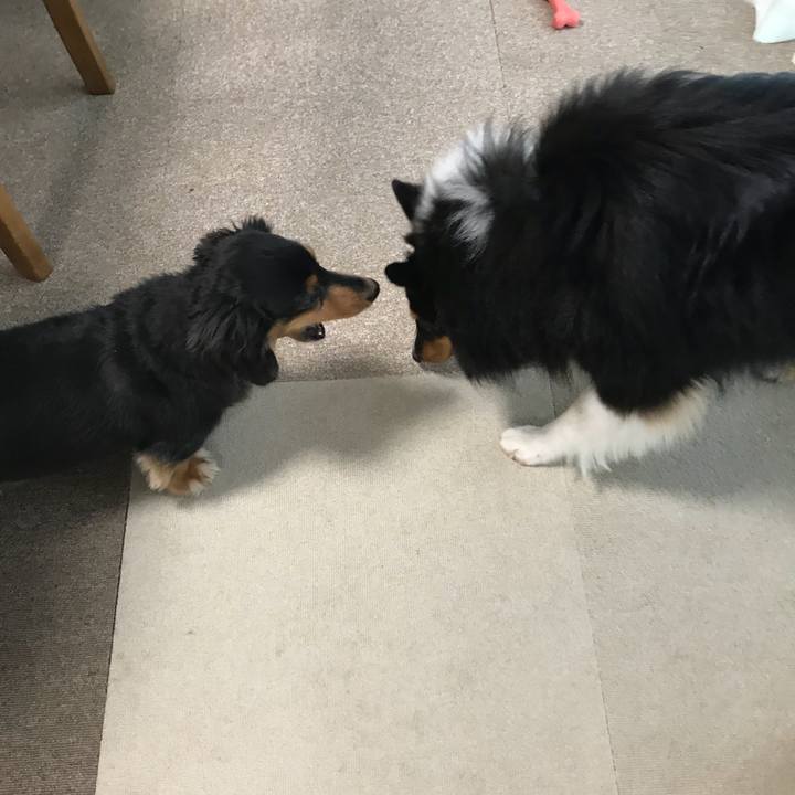 A8bdc84b 9970 48d8 bac4 1ad2e2f6ac55 1535320686136