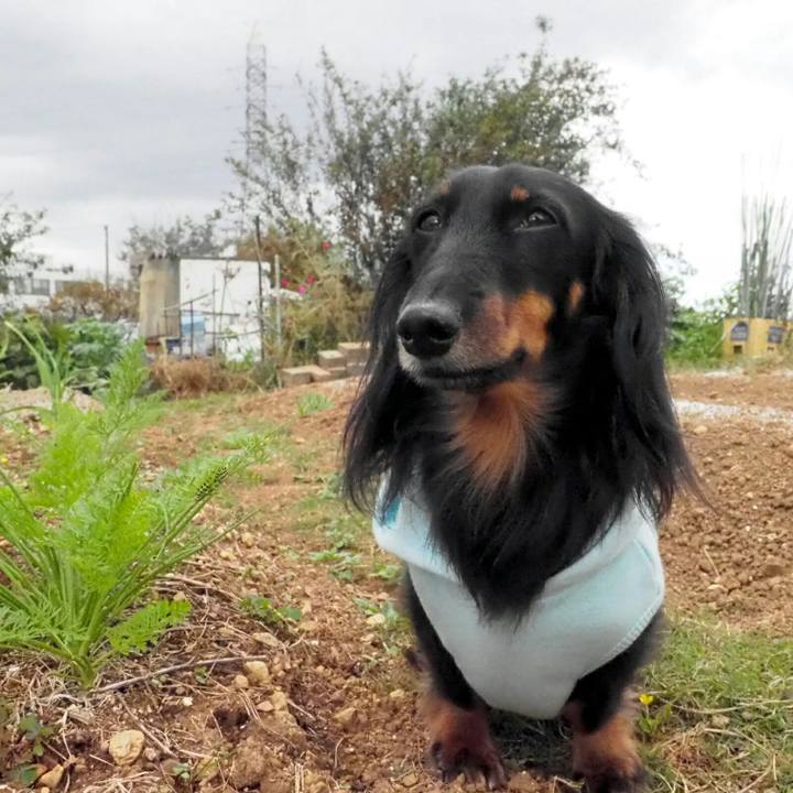 A8bdf6a7 4612 4857 acaa 9ca66bc80d6f 1540959993232