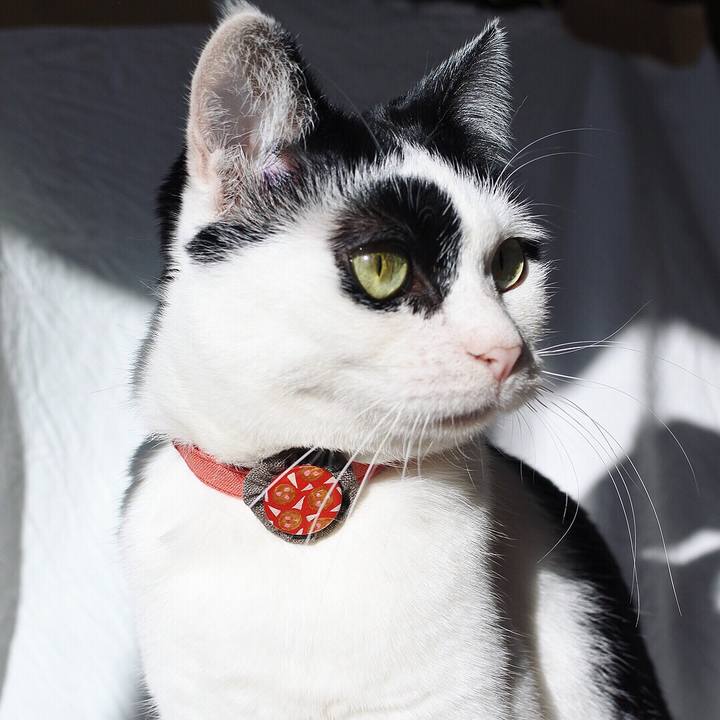 A8be1b09 74ef 4f39 b518 eaec3cab68ae 1511271976775