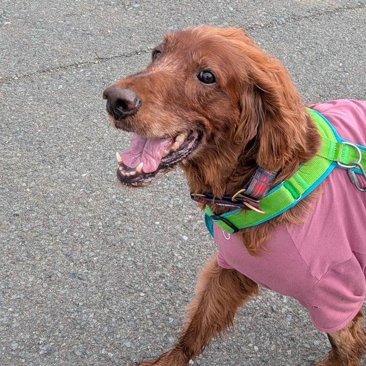 A8be1bd8 2be2 47e7 9147 156906cd906b 1761273404289