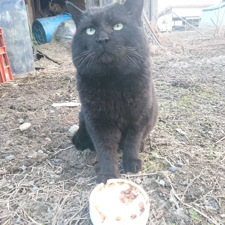 A8be671b 21af 4d82 b24a 229f606ba1fe 1649236912029