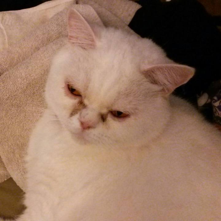 A8be78b4 9dfd 4204 bc65 085f74d7ce4c 1537571000001