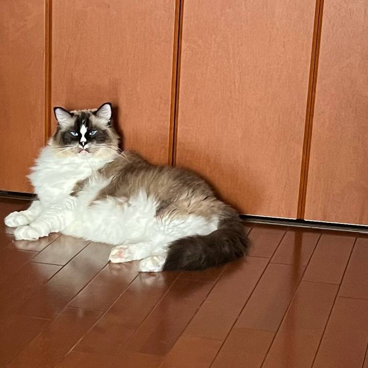 A8bf4e82 9491 4ce5 b616 511f7fe774e3 1699067519251