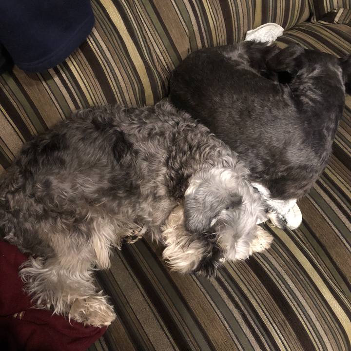 A8bf52d4 30f2 4dec a4fb 0cef8b0d873c 1520340812802