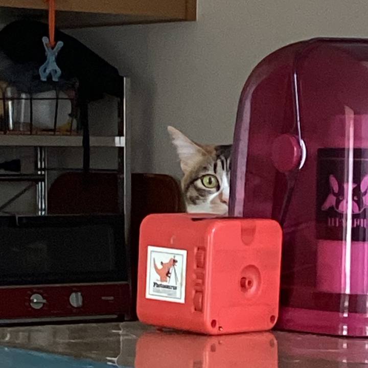 A8bf5587 1829 4400 bdae f2c8bcca32bf 1678760511197