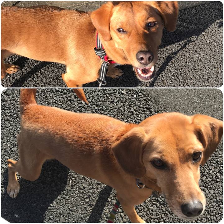 A8bf70bf 01f4 4895 adc3 68d0951c5664 1543562140627