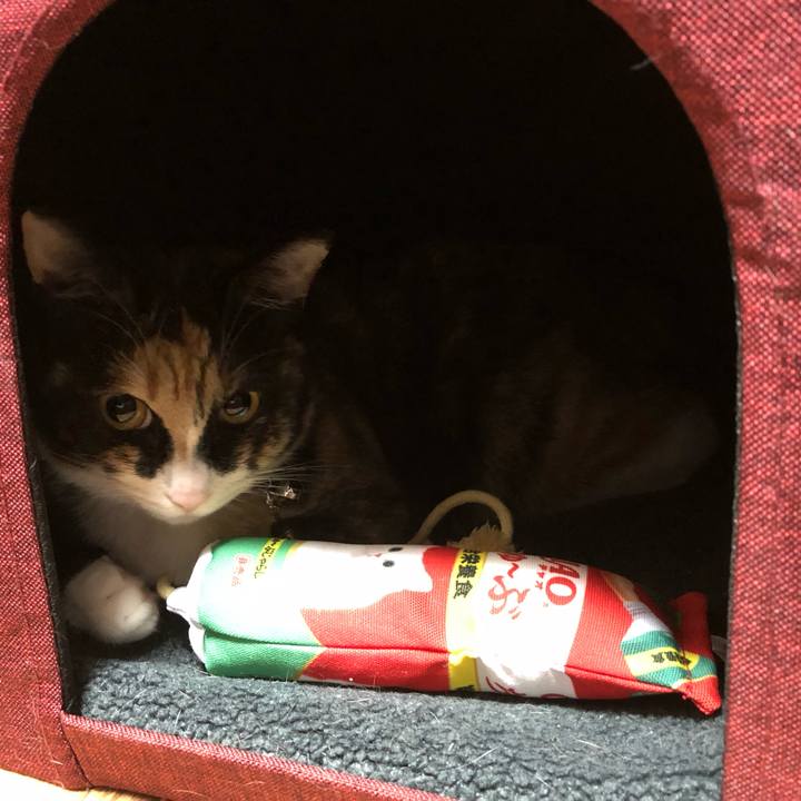 A8bf8bc9 0bb8 4d80 a632 95b659f98a6d 1559631857348