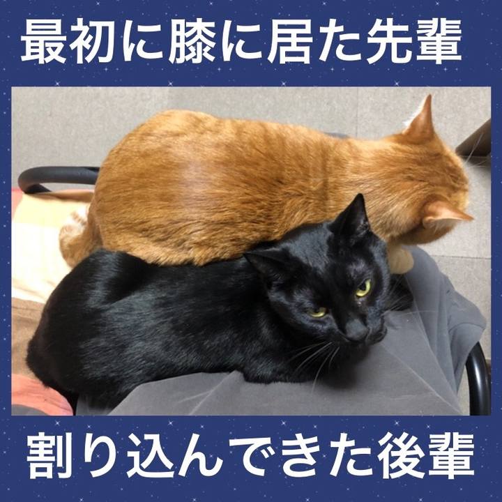 A8bfba15 42f7 4136 83df cec8254cb7be 1674991356531