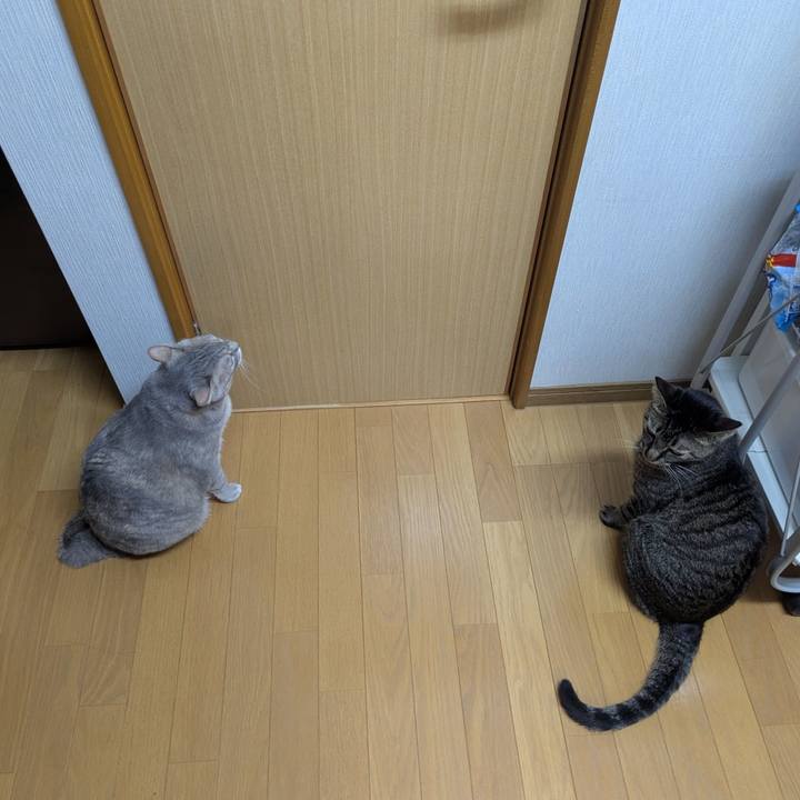 A8c09fcc 619b 416d 9332 1086e3eb28fc 1748519732755