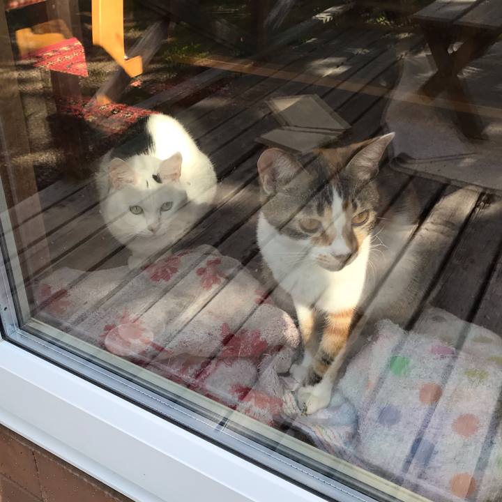 A8c0c92a 1695 4c14 bb05 37aef2429448 1622585355395