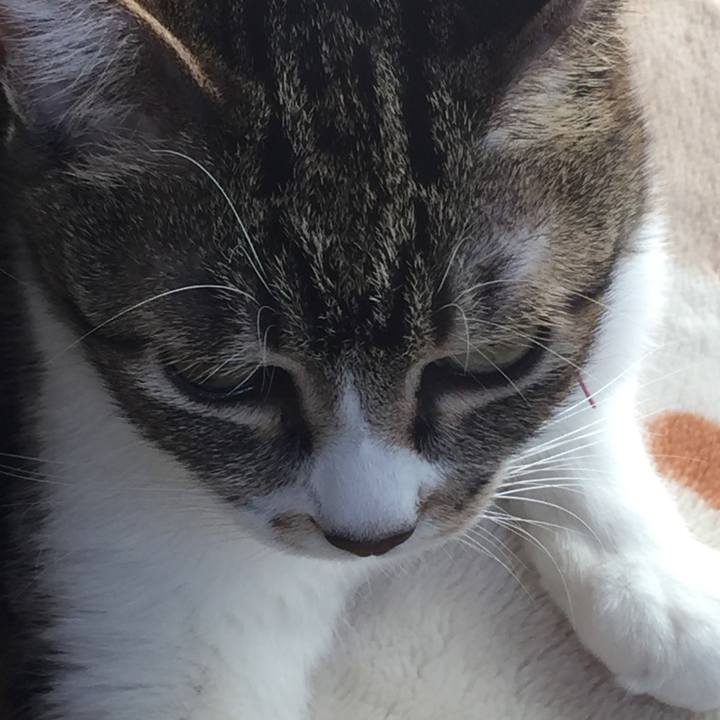 A8c0ecc2 9814 40e1 8621 f4a06691864c 1550732530993