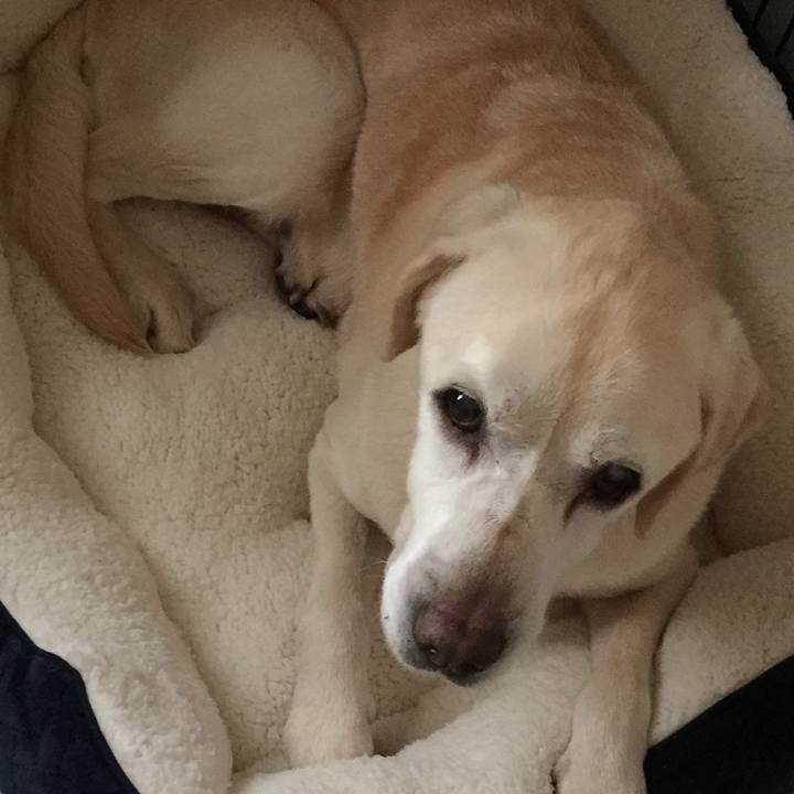 A8c0ed5f 22cd 4ca0 bf6e 3d087d7de755 1548549641824