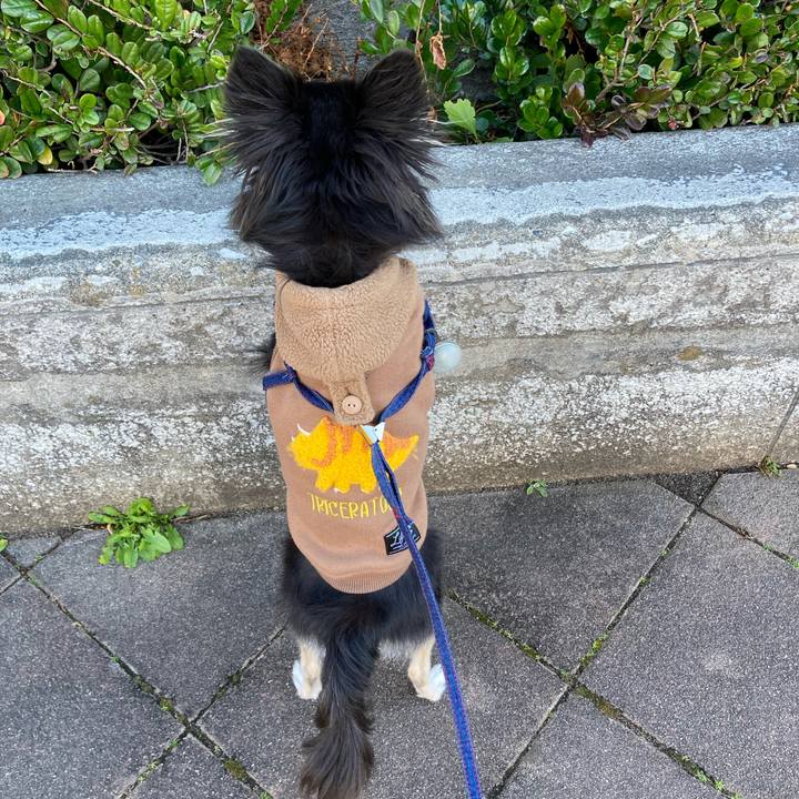 A8c102ce 548b 4b31 afbb 23b50844446a 1706343669151