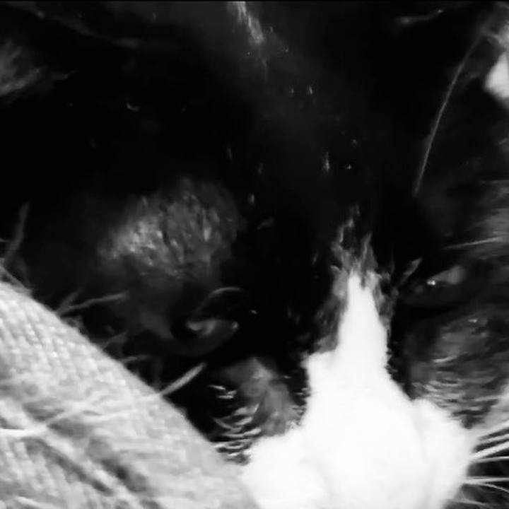 A8c11c54 a52a 459a 8245 5dd710961a13 1740657110406