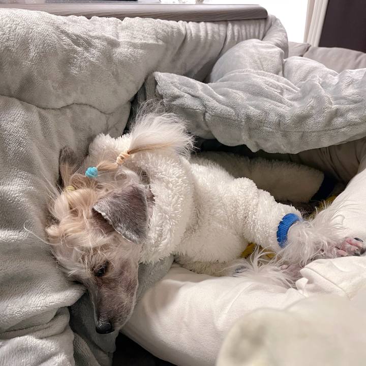 A8c14a6b 3115 41dd aa94 f5721057cfb2 1764819536279