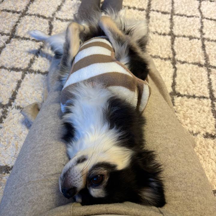 A8c19006 8102 414a a5d9 b6dab22e939b 1739722733596