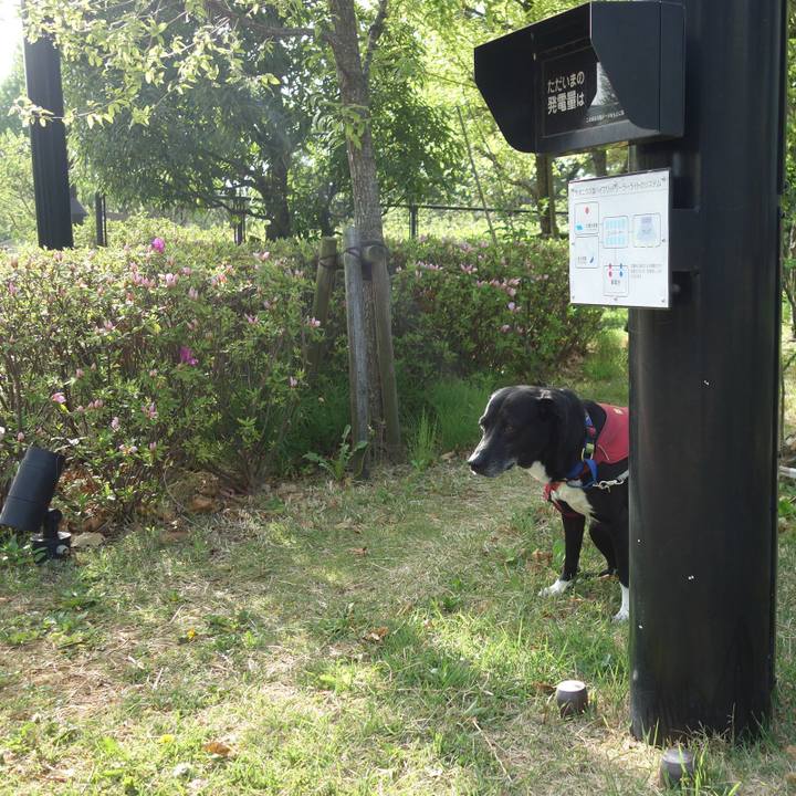 A8c19d7e 5531 4b28 8271 98d819e75a0b 1681433688325