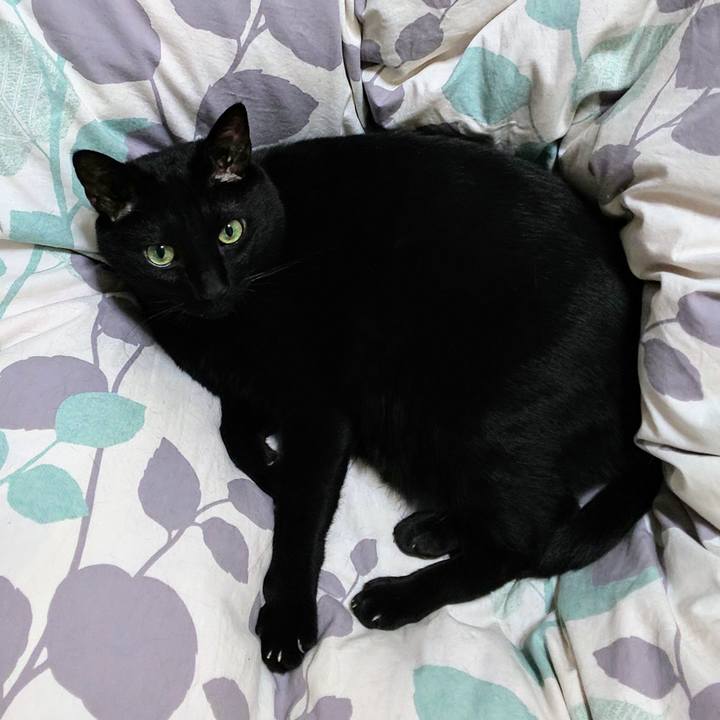 A8c1b3b5 1f8a 445a 949b 50244e3c932c 1713572531358