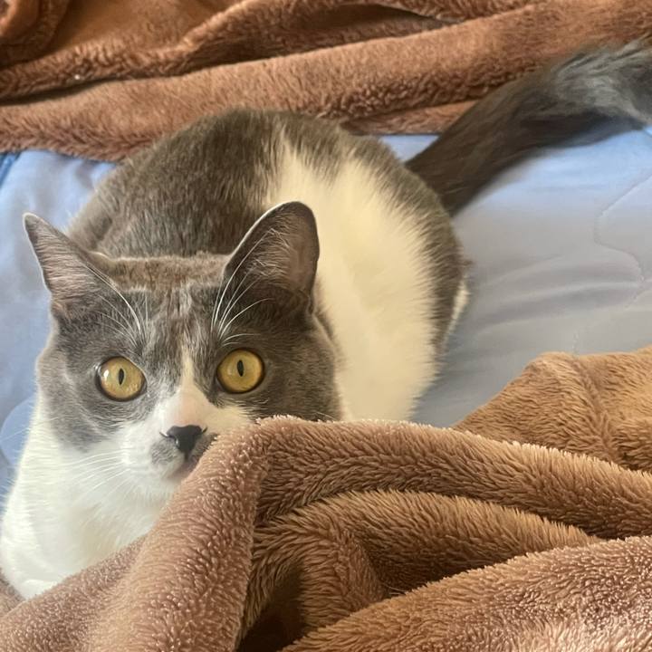 A8c1be7a 8c7a 4926 932c f7b3aaa20031 1636083074911