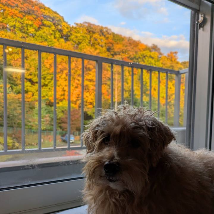 A8c1ff5a 3ff2 41a1 b839 9cca6d550678 1761340829733