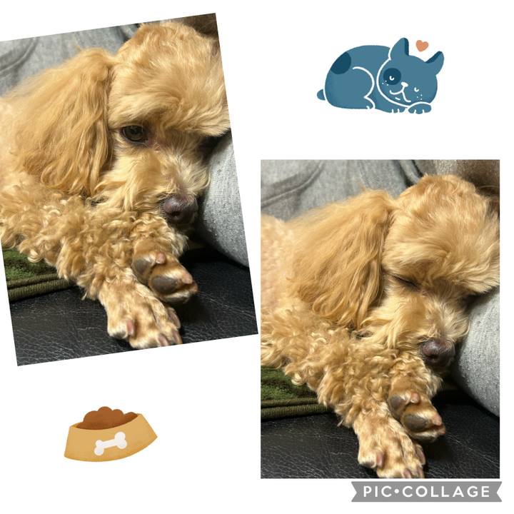 A8c22837 7f31 4fa3 88ee 10ea5c240744 1708260058059