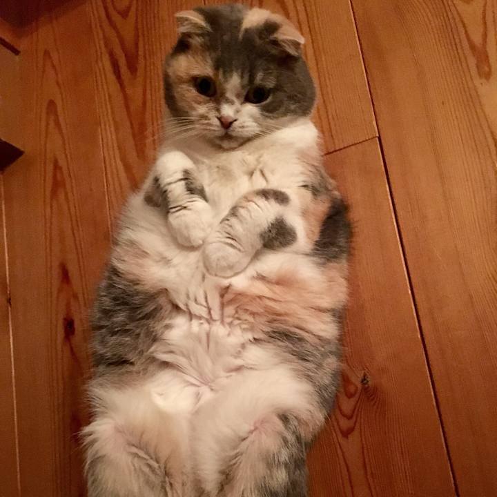 A8c27c97 1fd3 4332 9f26 7ec6ba0b70c7 1540979401714