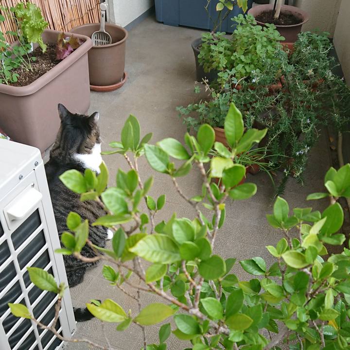 A8c2db4a 8f69 472d 935c 941513e0e849 1572757369739