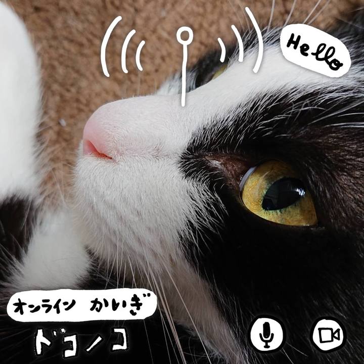 A8c31255 ee62 4575 945a 840b8a96cea3 1590848886053