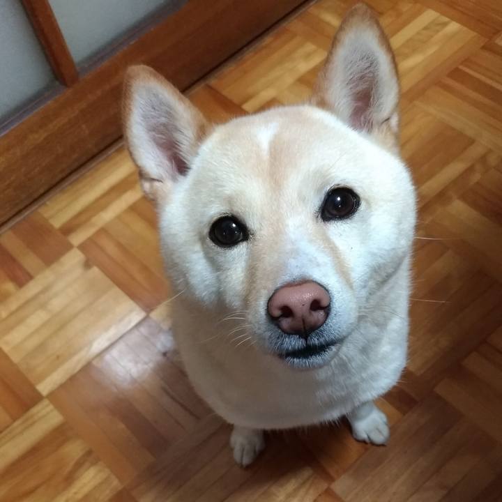 A8c3d8f6 6a08 4eae aecd 855cc2bfbaec 1563056867225