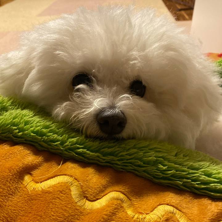 A8c3f509 d847 4c0b 91ff f40cfdecea8f 1659360139330