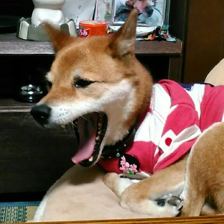 A8c40865 870c 4051 a1f4 e2acc11d5674 1571574804757