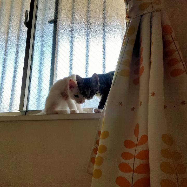 A8c44126 ceb6 45e5 ac46 8ca5dfa94f77 1626647981583