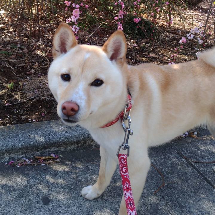 A8c48fa9 d081 4a66 8d06 8c4bab85c104 1520070757871