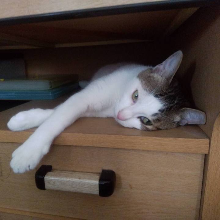 A8c4d777 ff40 4437 b975 442e98b3ab5f 1688887396231