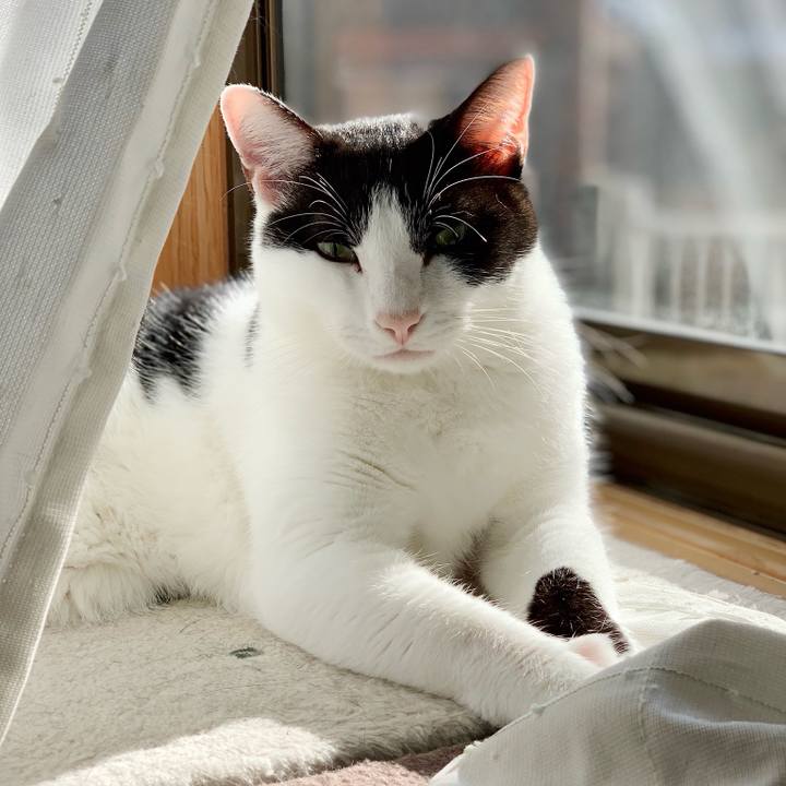 A8c5023d 906a 4400 b13e c4661bb433bc 1543109887726