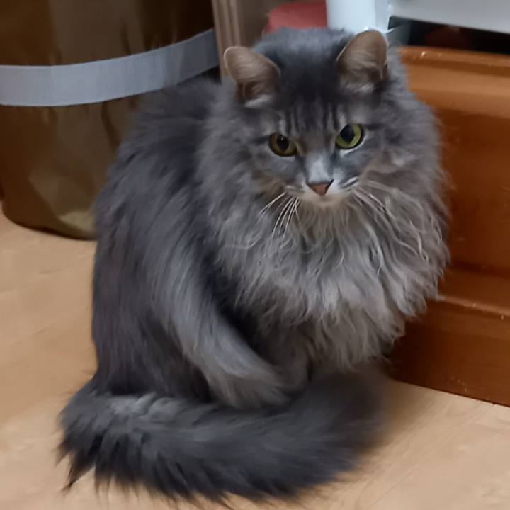 A8c54e01 ee23 4fe0 b134 b6d5cd3309a5 1615554182569