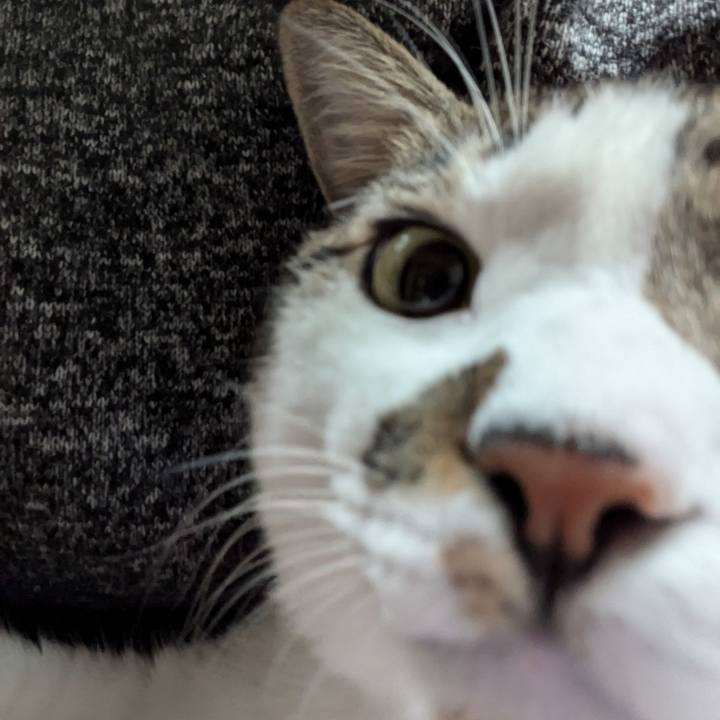 A8c55724 2cde 43d7 8970 1267be31fc48 1731972347619