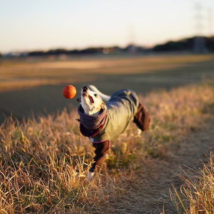 A8c577b3 a8f7 47d3 9600 d02f2ab73157 1547284517450