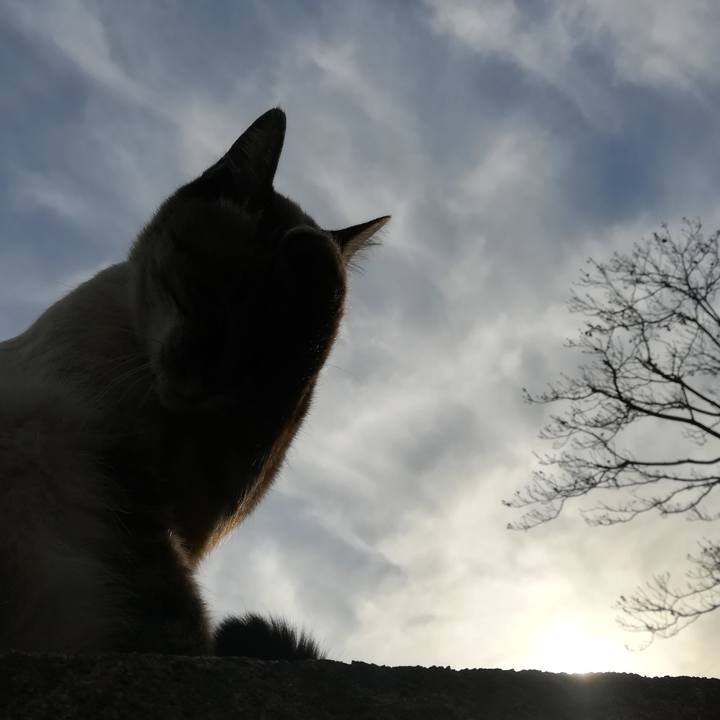 A8c57da0 7ca7 4562 a0d8 1dd8ee35e99c 1573973121719