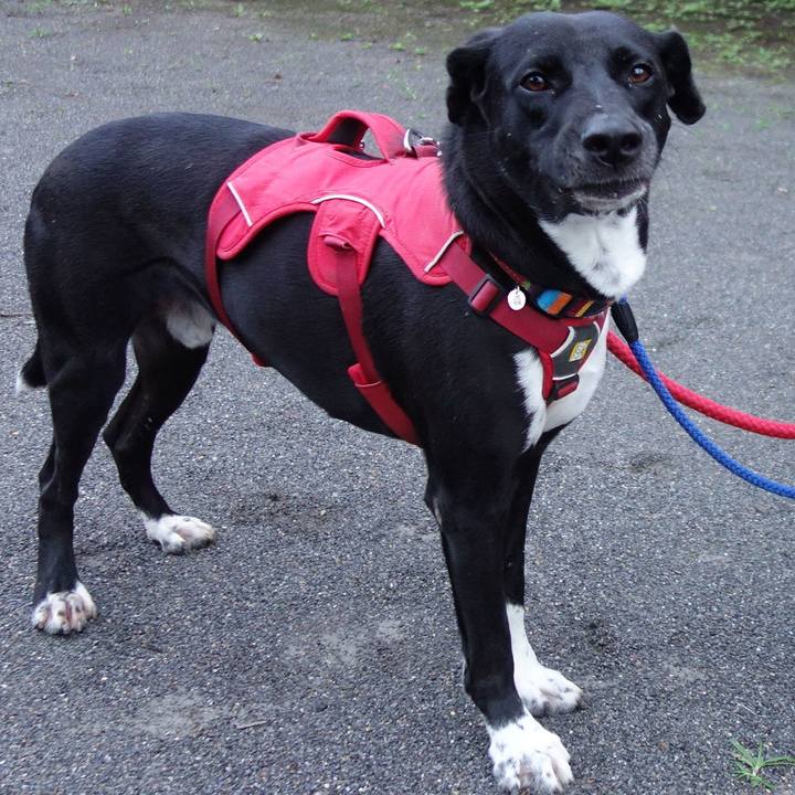 A8c58efc b856 4931 b77e f7dbf69db08f 1595067489016