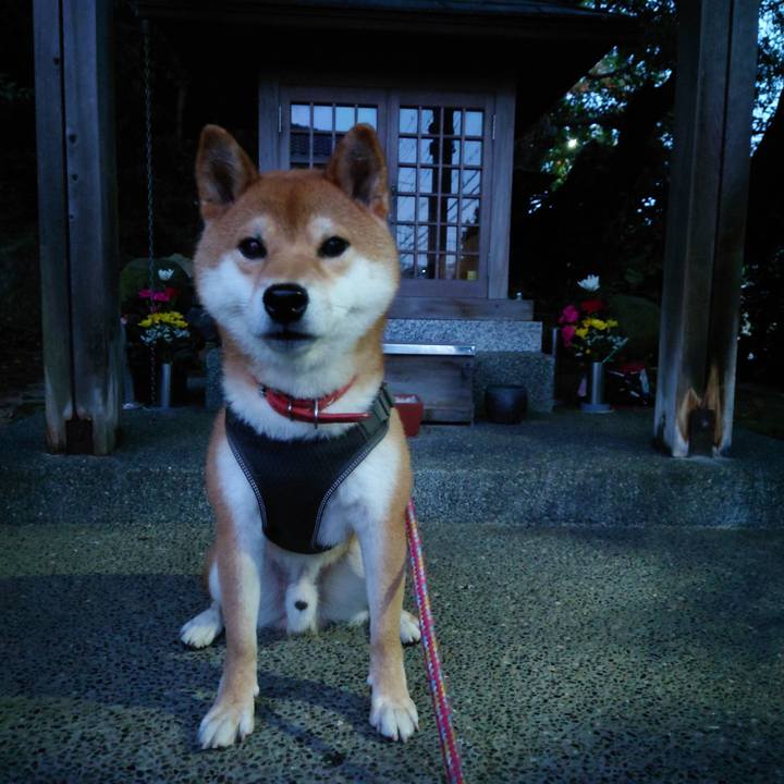 A8c5a1e1 e36b 49b5 954b 3d0507e7e94a 1759459110721