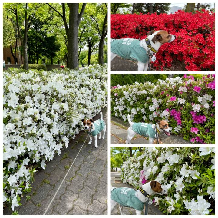 A8c5a334 cb28 401f 8e6d 65f343cfc3dc 1651928117188