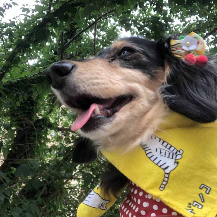 A8c5ccdd dbc6 4351 9a33 41077907ab00 1559694396627