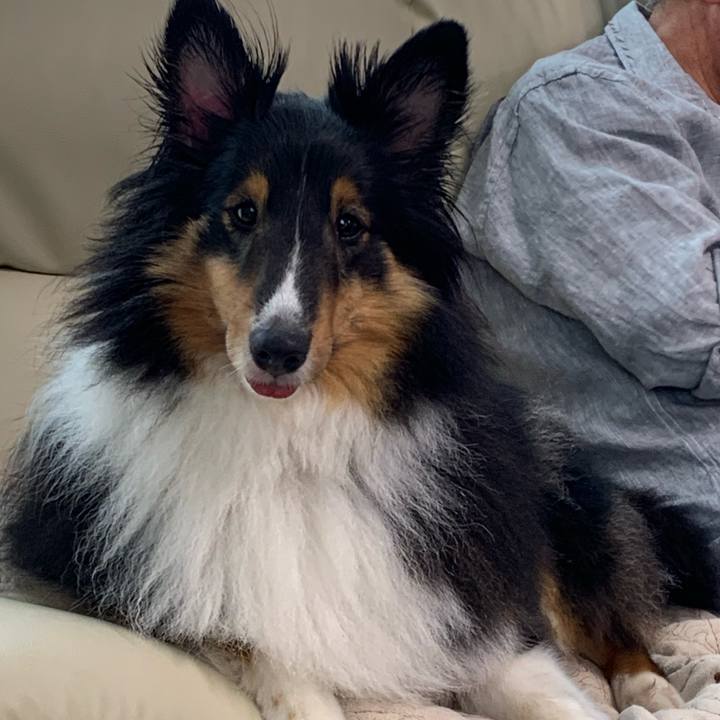 A8c5cec6 1537 4622 a4fa 69e71bed5e2c 1593903688121