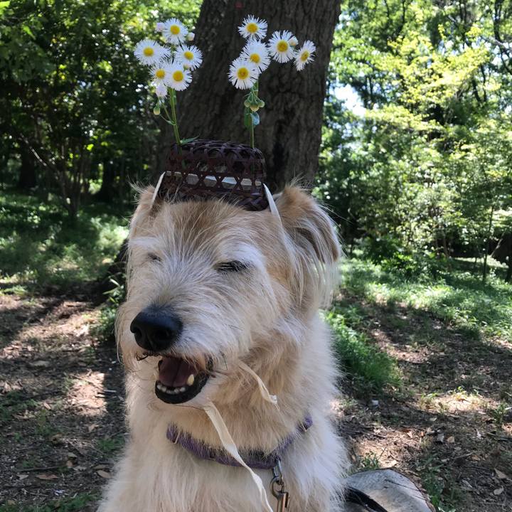 A8c5d0d0 28c9 405b ad7b 7483cd6508c2 1588926093185