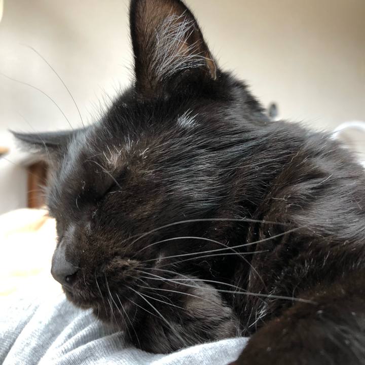 A8c5d6f3 ec51 493e 8cde 1012f4668ae6 1561785513748